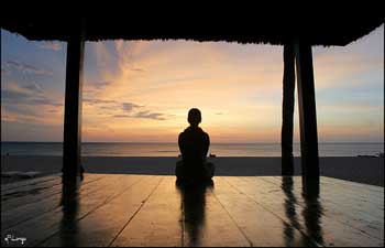 Zen Agile Marketing Zen